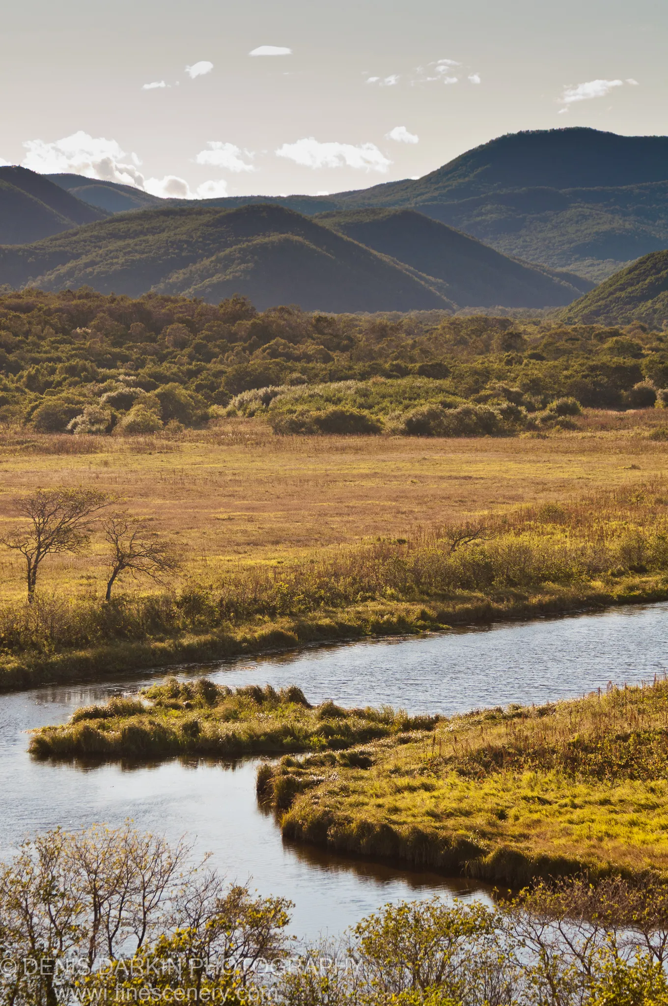 A meandering river winds through golden-brown grassland toward dark forested hills in soft evening light, Samarga River, Terneysky District.