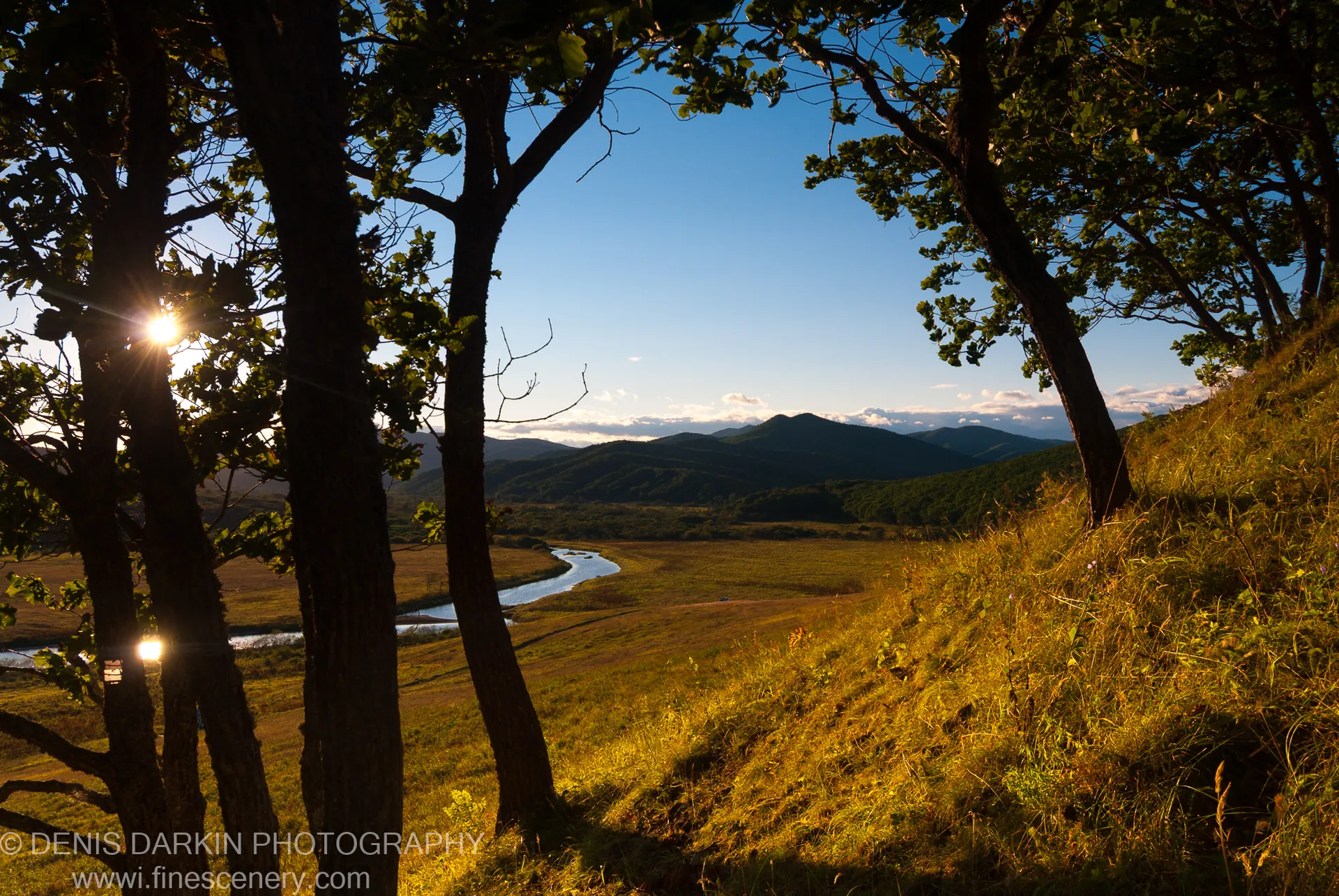 Dark tree trunks border a river valley and distant mountains, starburst sun visible through the foliage, Samarga River, September 2011.