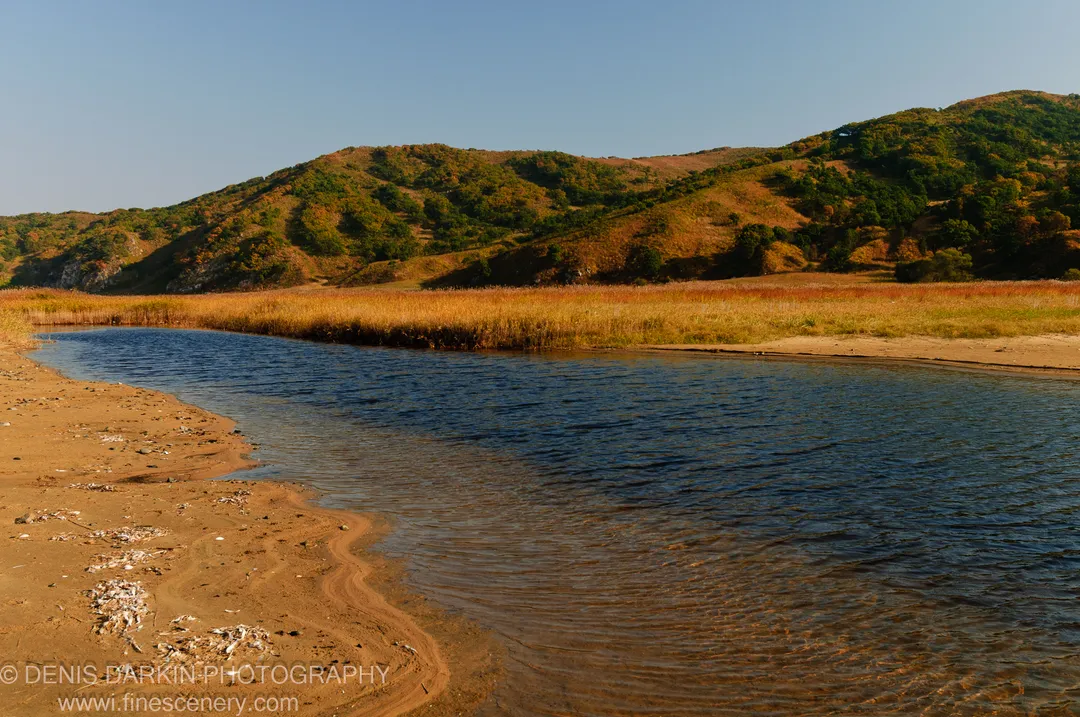 Winding river meanders past a sandy bank and golden-brown reeds, with tree-covered rolling hills under a clear October sky at Falshivy Poyma.