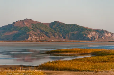 Golden reeds line a sandy bank at Falshivy Poyma, backed by calm water and a reddish rock-faced hill in the morning light.