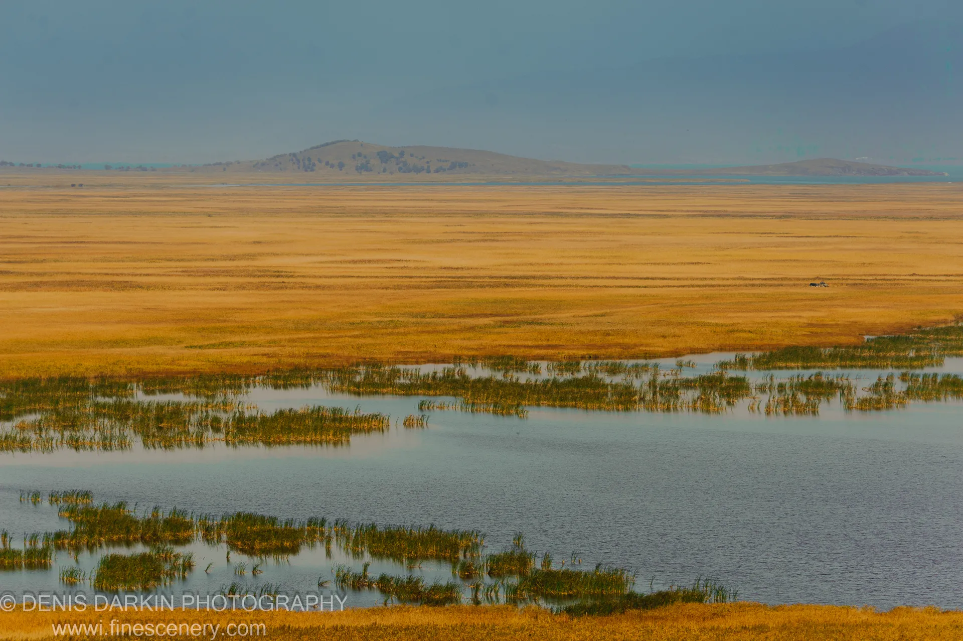 Golden grassland and stands of reeds at Falshivy Poyma, with still water reflecting a pale grey sky and distant hills fading into haze.