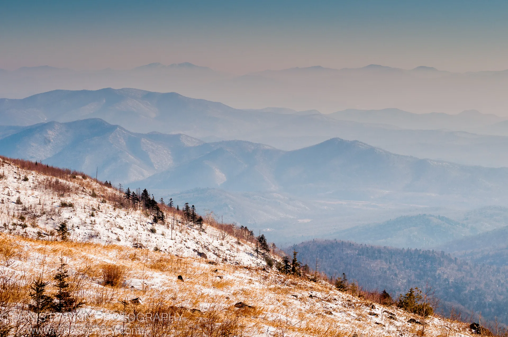 A mountain ridge at Vorobey Mountain with snow, dry grass, and conifers in the foreground, blue haze-filled mountains receding behind, January 2012.