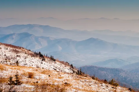 A mountain ridge at Vorobey Mountain with snow, dry grass, and conifers in the foreground, blue haze-filled mountains receding behind, January 2012.