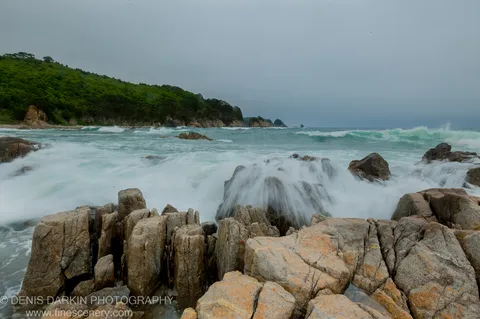 Lichen-covered granite boulders at the Far East Marine Reserve stand against motion-blurred surf while a forested headland recedes into the grey sea.