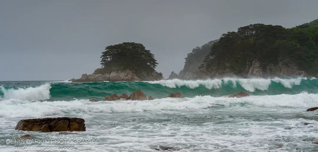 A powerful wave breaks against a rugged rocky coastline at the Far East Marine Reserve, dark pine trees crowning the headlands above.