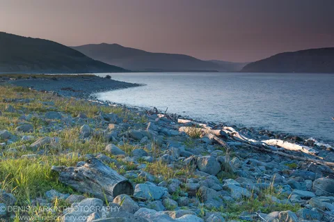 Weathered driftwood logs rest on a pebbly shoreline curving toward a sheltered bay near Kamenka, dark hills silhouetted against a purple dusk sky.