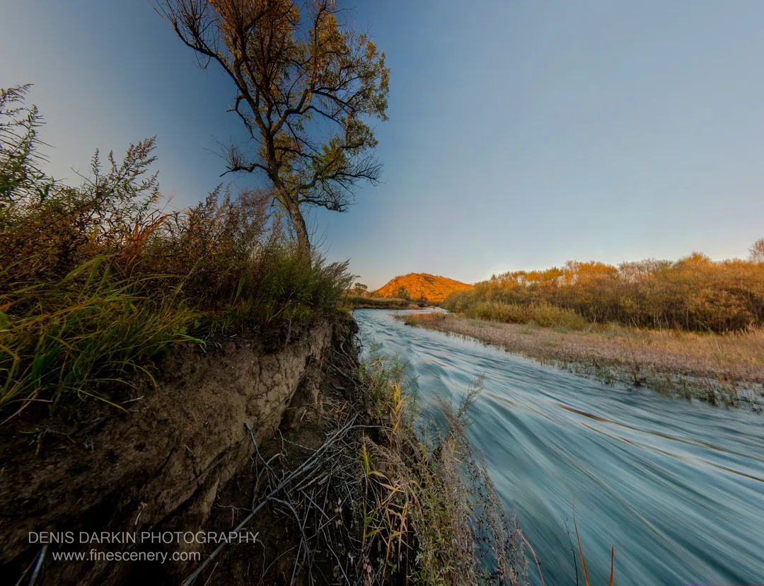 A lone tree leans over eroded riverbank vegetation beside the Komissarovka River in late-autumn golden-hour light, October 2012.