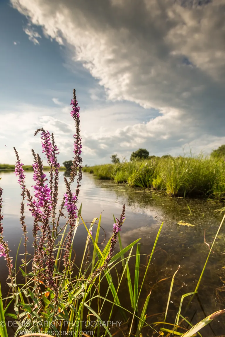 Hanka Lake