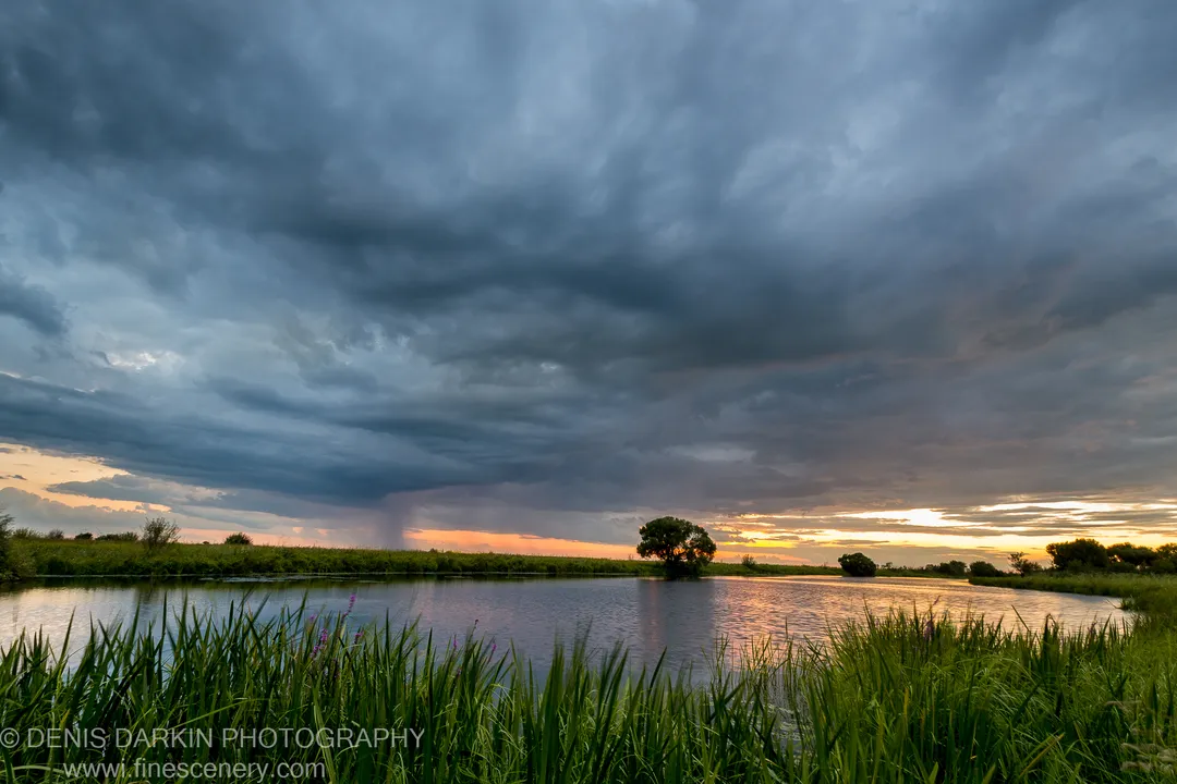 On the far bank of Hanka Lake at evening, a lone tree stands silhouetted under dark storm clouds, with warm light along the horizon.