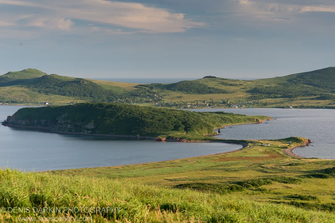 Warm dusk light over textured grasses in the foreground, with a forested peninsula and a small coastal settlement visible at Popov Island, Primorsky Krai.