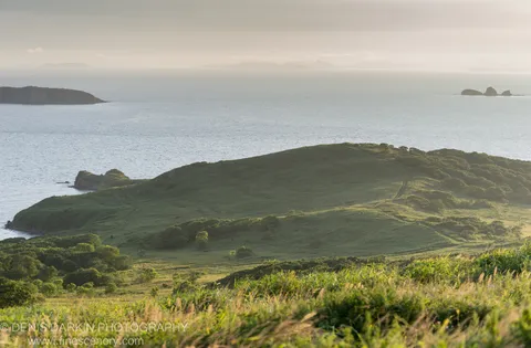 Rolling green ridge on Popov Island with faint dirt tracks winding toward the crest and a calm silver ocean stretching to distant hazy islands.