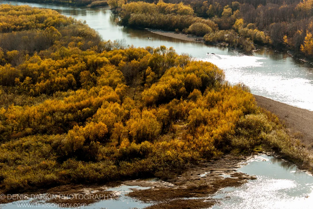 Autumn-yellow forest lines the winding banks of the Iman River at golden hour, with sunlight reflecting sharply off the water.
