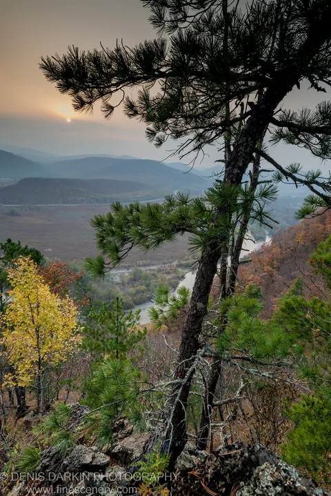 Silhouetted pine branch above the Iman River valley at sunset, with a rocky outcrop in the foreground and cool blue ranges in the distance.