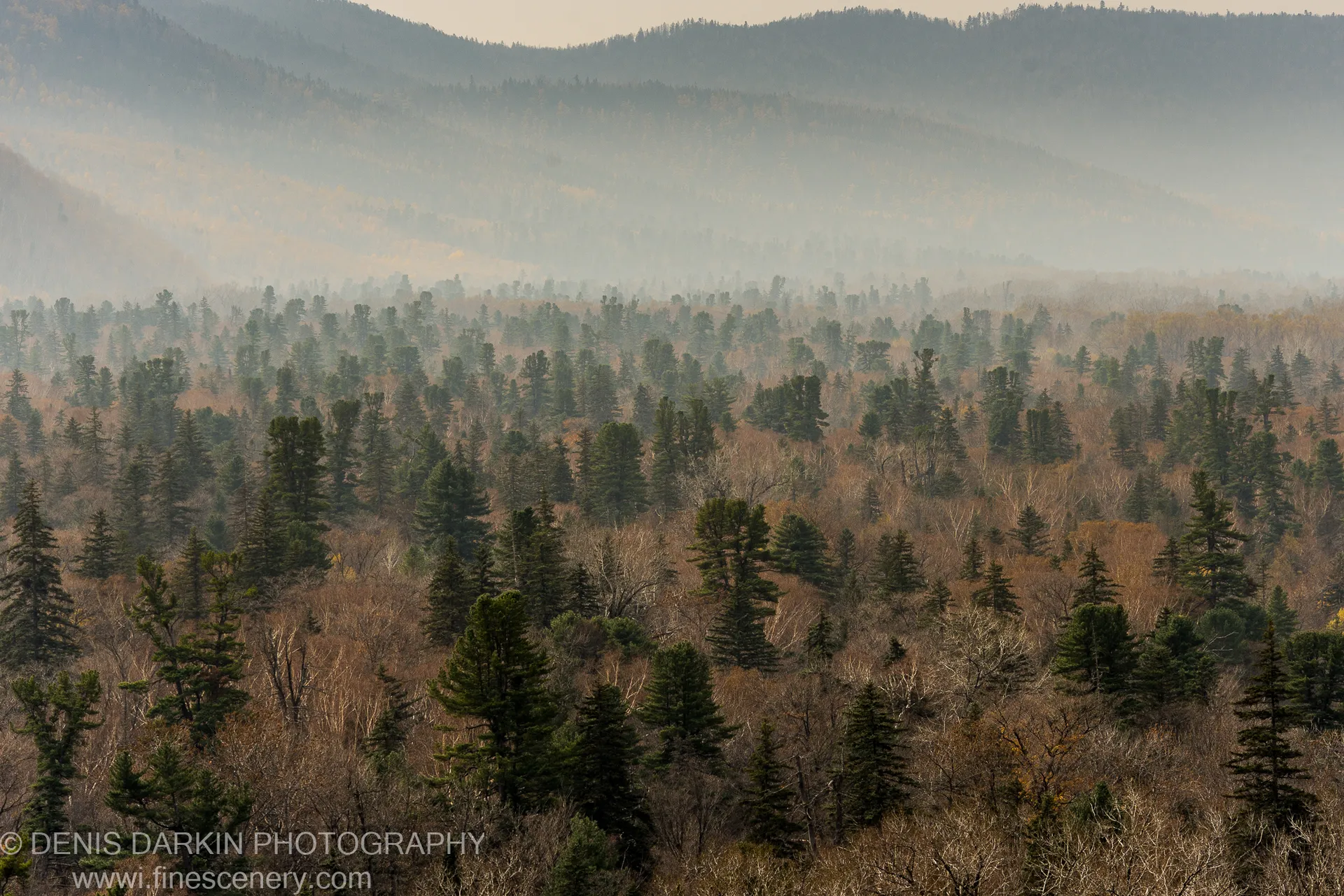Layers of forested slopes receding into atmospheric haze above the Iman River, with evergreens sharp against bare deciduous trees.