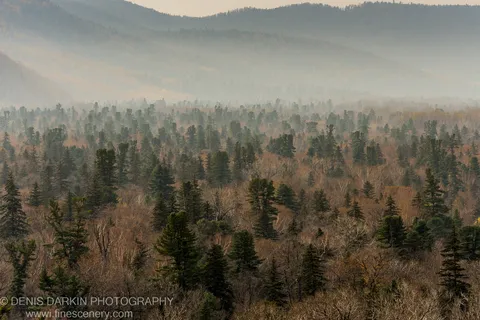 Layers of forested slopes receding into atmospheric haze above the Iman River, with evergreens sharp against bare deciduous trees.