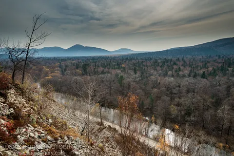 Rocky escarpment with autumnal shrubs and a leafless tree descends toward the silvery Iman River winding through a forested valley under an overcast sky.