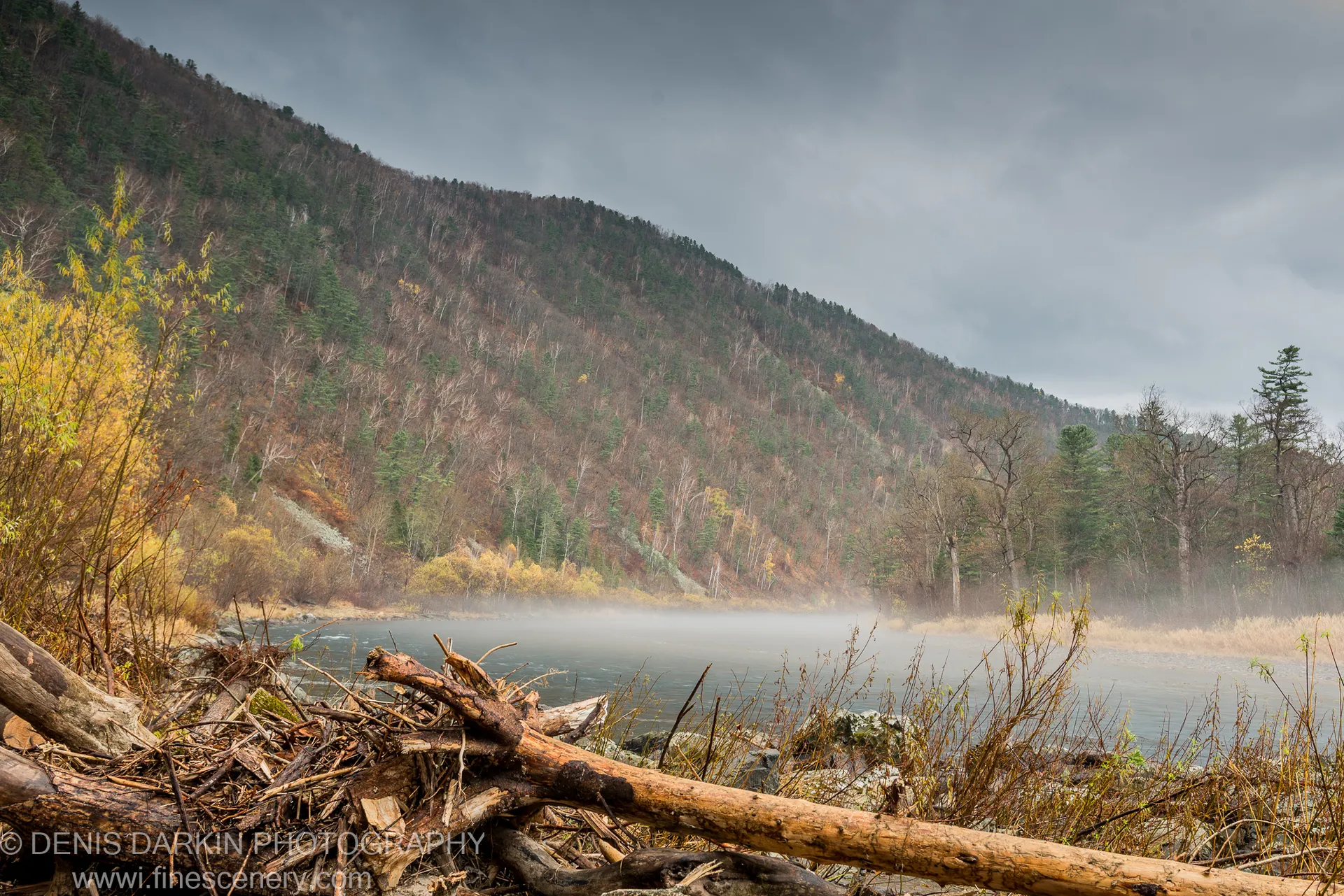 Weathered driftwood on the Iman River bank in the foreground, with a mist-shrouded river and autumn hillside under heavy overcast sky.