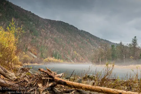 Weathered driftwood on the Iman River bank in the foreground, with a mist-shrouded river and autumn hillside under heavy overcast sky.