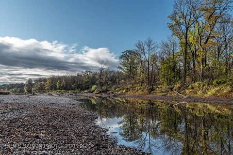 Still water reflecting an autumn canopy against blue sky, fallen foliage on the stone bank in the foreground, Primorsky Krai, October 2019.