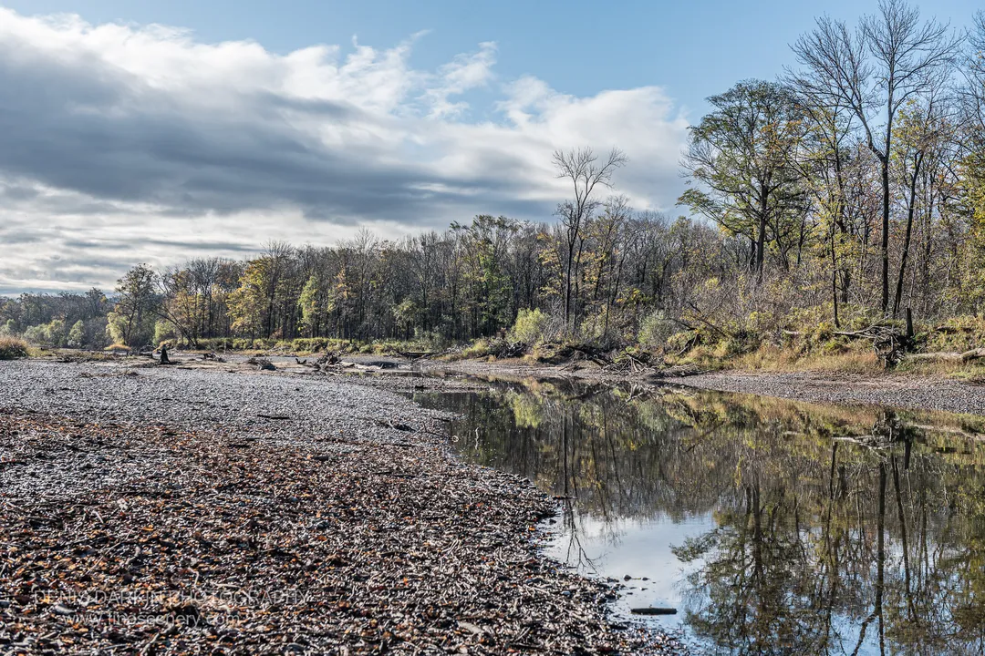 Grey gravel bar with fallen leaves beside a still pool reflecting blue sky, muted forest edge beyond, Primorsky Krai, October 2019.