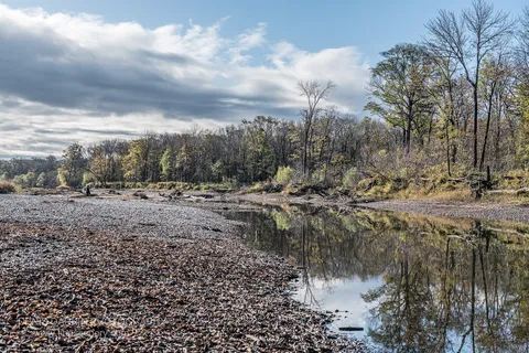 Grey gravel bar with fallen leaves beside a still pool reflecting blue sky, muted forest edge beyond, Primorsky Krai, October 2019.