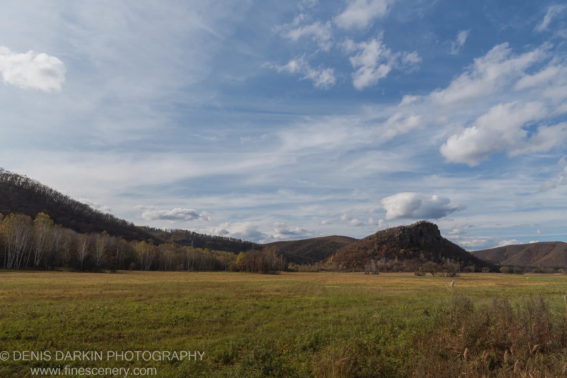 Birch trees in a grassy valley in Primorsky Krai, a rocky hill rising on the right under wispy high clouds.