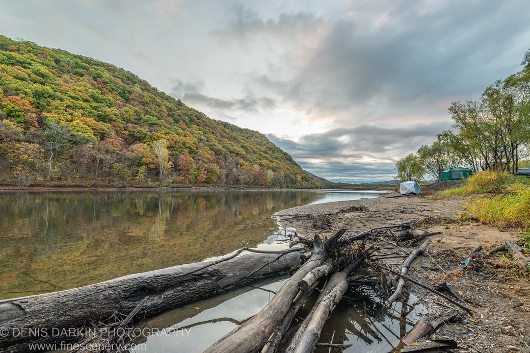 Weathered driftwood logs on a muddy bank at a riverside camp, steep forested slope with autumn foliage behind, Primorsky Krai, October 2019.