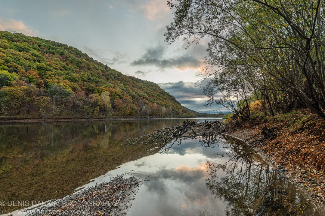 Calm river reflecting a moody morning sky, dense autumn forest on the left bank, driftwood on the near shore, Primorsky Krai, October 2019.