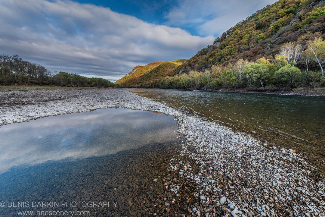 Still pool on a pebbly bar reflecting blue sky and clouds, sunlit autumn slopes with yellow and orange foliage beyond, Primorsky Krai, October 2019.