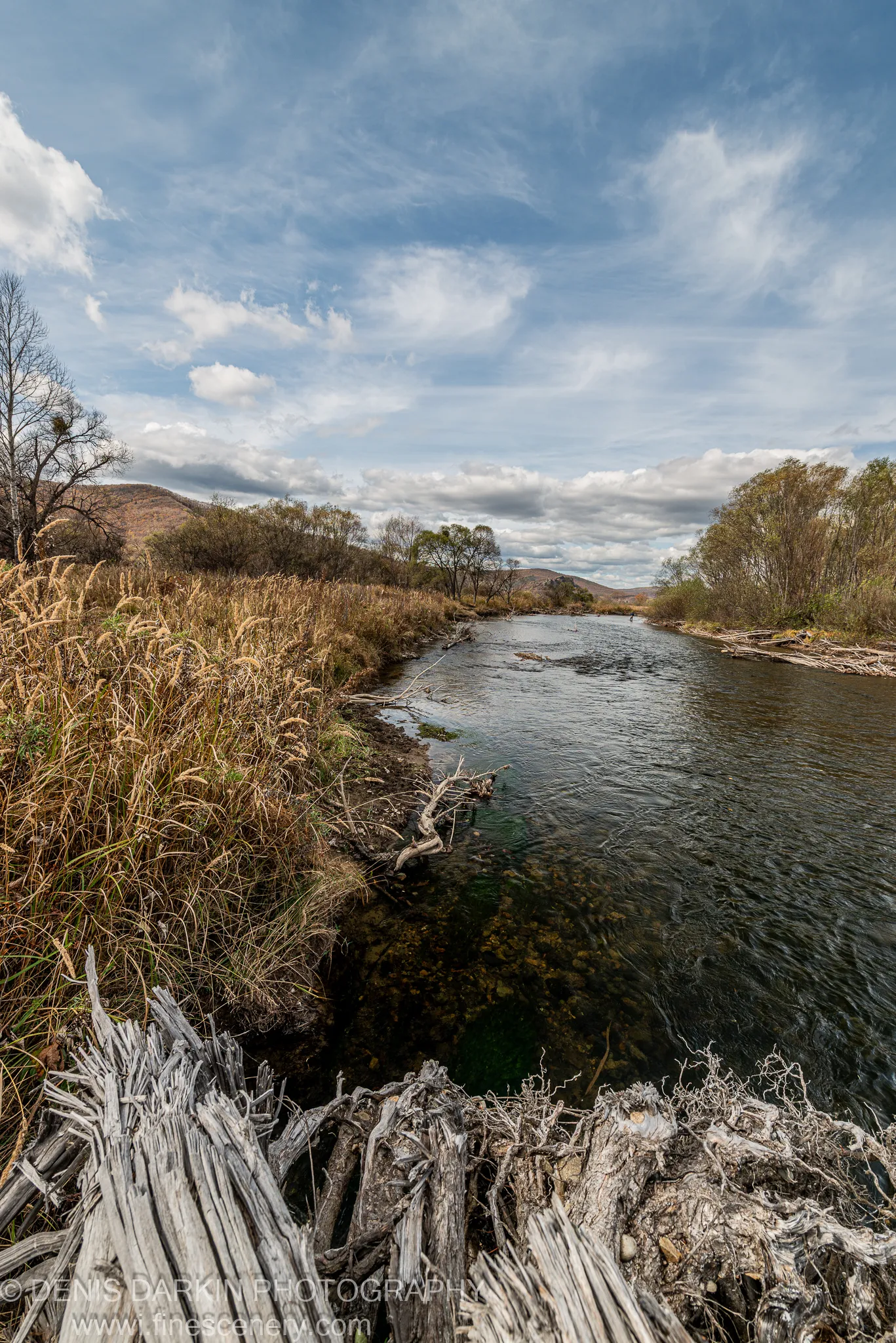 Weathered driftwood at the edge of a wide river in Primorsky Krai, golden autumn grasses and rolling hills beyond.
