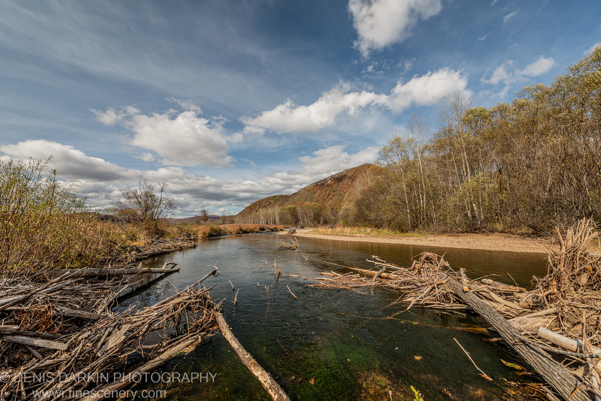 Piles of driftwood and dry brush on a Primorsky Krai river bend, autumn-coloured hills in the distance.
