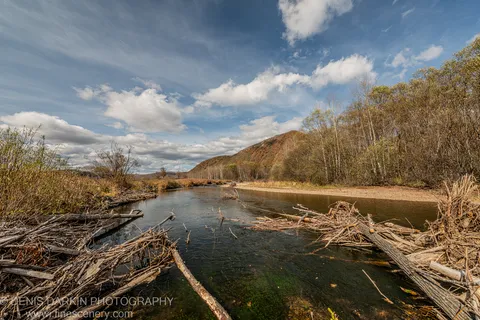 Piles of driftwood and dry brush on a Primorsky Krai river bend, autumn-coloured hills in the distance.