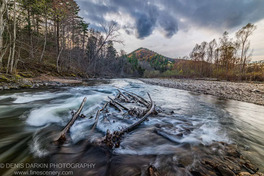 River rushing past submerged fallen logs with long-exposure white water in the foreground and an autumn-colored forested hill under heavy clouds, Primorsky Krai.