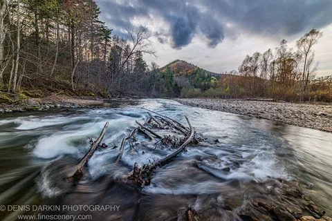 River rushing past submerged fallen logs with long-exposure white water in the foreground and an autumn-colored forested hill under heavy clouds, Primorsky Krai.