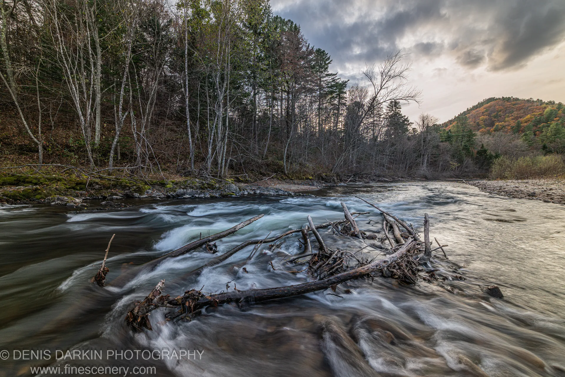 Tangled driftwood in a blurred forest stream with pale deciduous trees at left and a distant mountain slope in autumn foliage, Primorsky Krai.