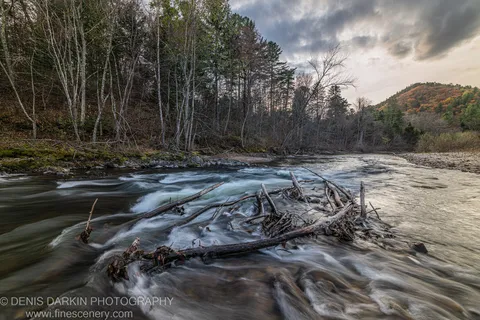 Tangled driftwood in a blurred forest stream with pale deciduous trees at left and a distant mountain slope in autumn foliage, Primorsky Krai.