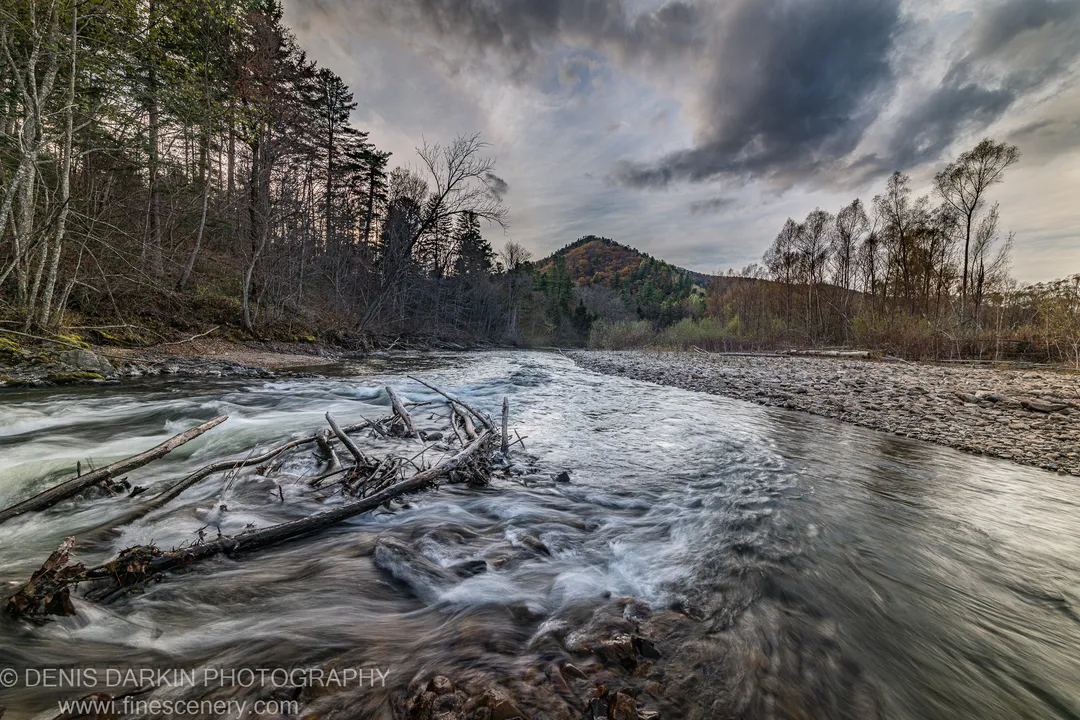 A wide river flows around a tangle of driftwood, with autumn-covered hills and birch trees visible on the far bank, Russian Far East.