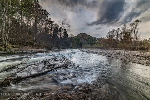 A wide river flows around a tangle of driftwood, with autumn-covered hills and birch trees visible on the far bank, Russian Far East.