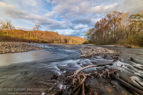 Weathered driftwood at the edge of a smooth-flowing river, with autumn foliage on rolling hills and textured blue sky, Primorsky Krai.
