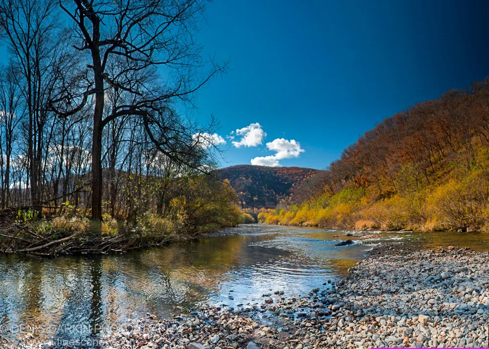 Sunlit river bends through a late-autumn valley at the Daubihe, smooth grey stones on the right bank and bare trees to the left.
