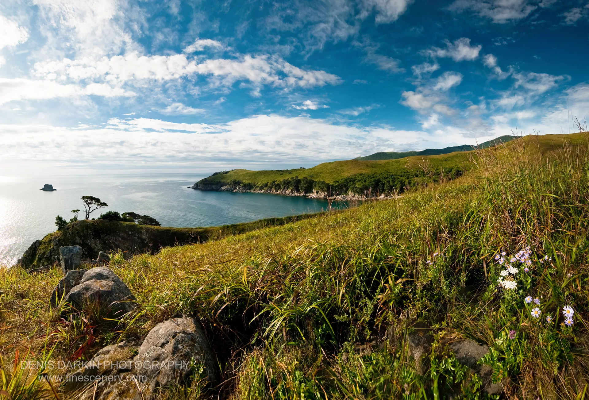 Wildflowers and golden grasses cover a hillside at Gamov Cape, with a deep blue bay and rocky headlands below a streaked sky.