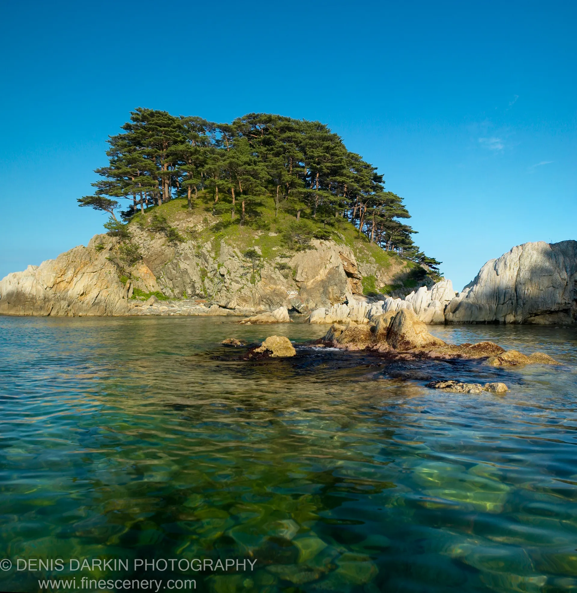 Sunlit rocky headland covered in dark green pines rising from crystal-clear water, with submerged stones visible in the shallow foreground at Telyakovskogo Bay.