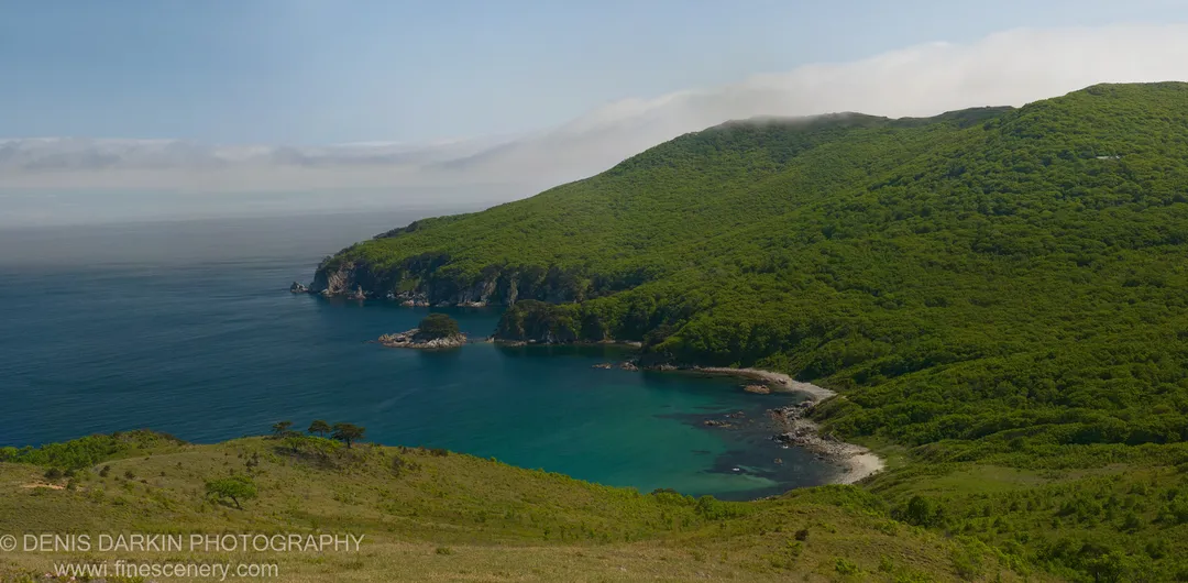 A secluded cove with water shifting from deep blue to turquoise, surrounded by steep forested cliffs and low cloud over the ridgeline at Telyakovskogo Bay.