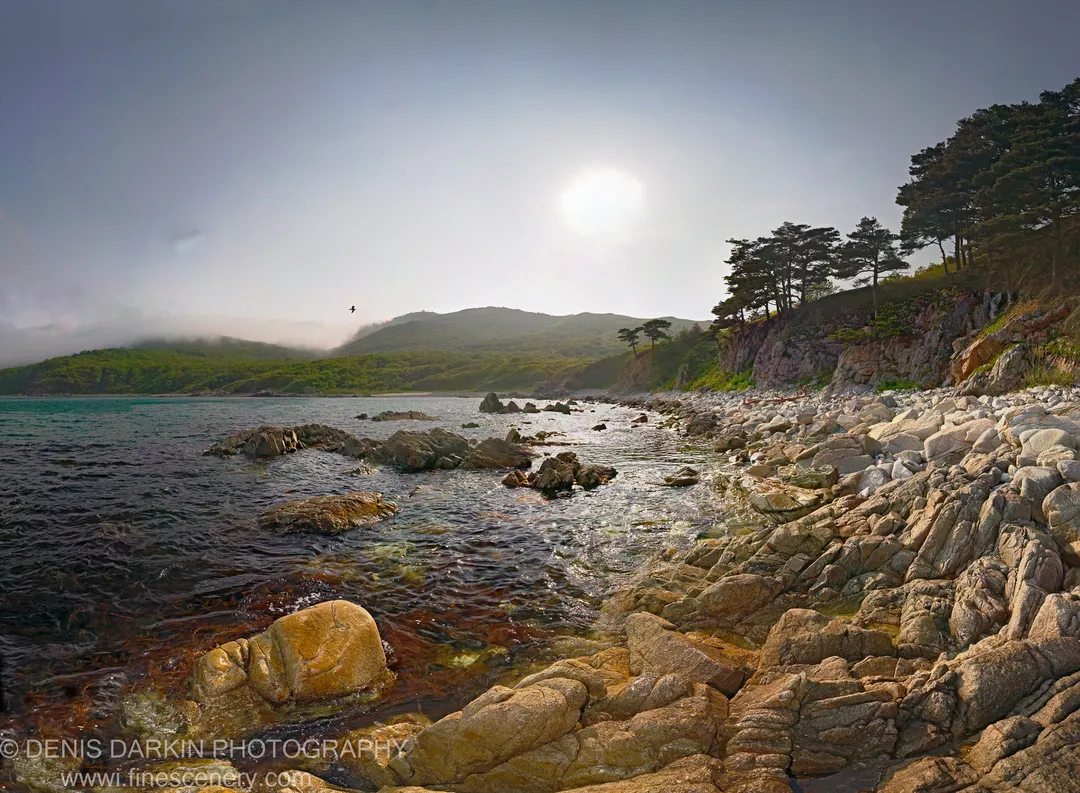Rugged sun-warmed rocks along the misty shoreline with a lone bird visible against the diffused sun, and a distant green headland across the water.
