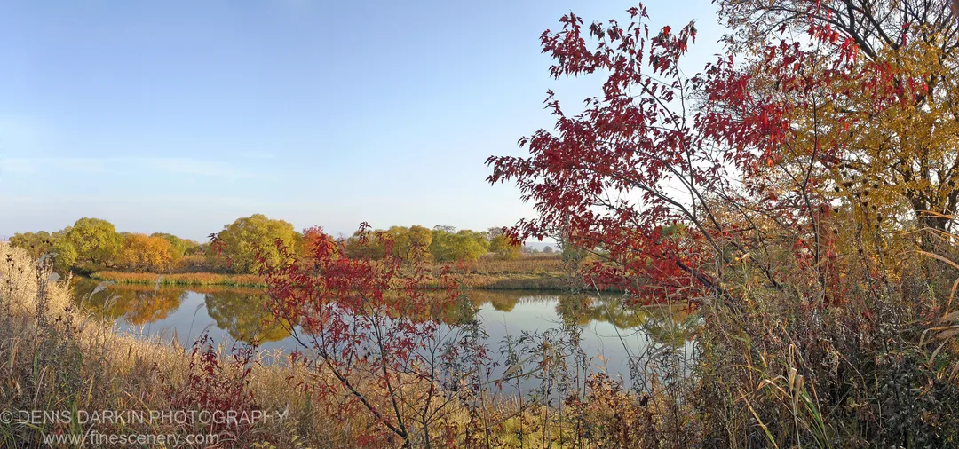 Red-leafed branches overhang a glassy section of the Razdolnaya River, reflecting golden autumn foliage and a pale blue sky, Primorsky Krai.