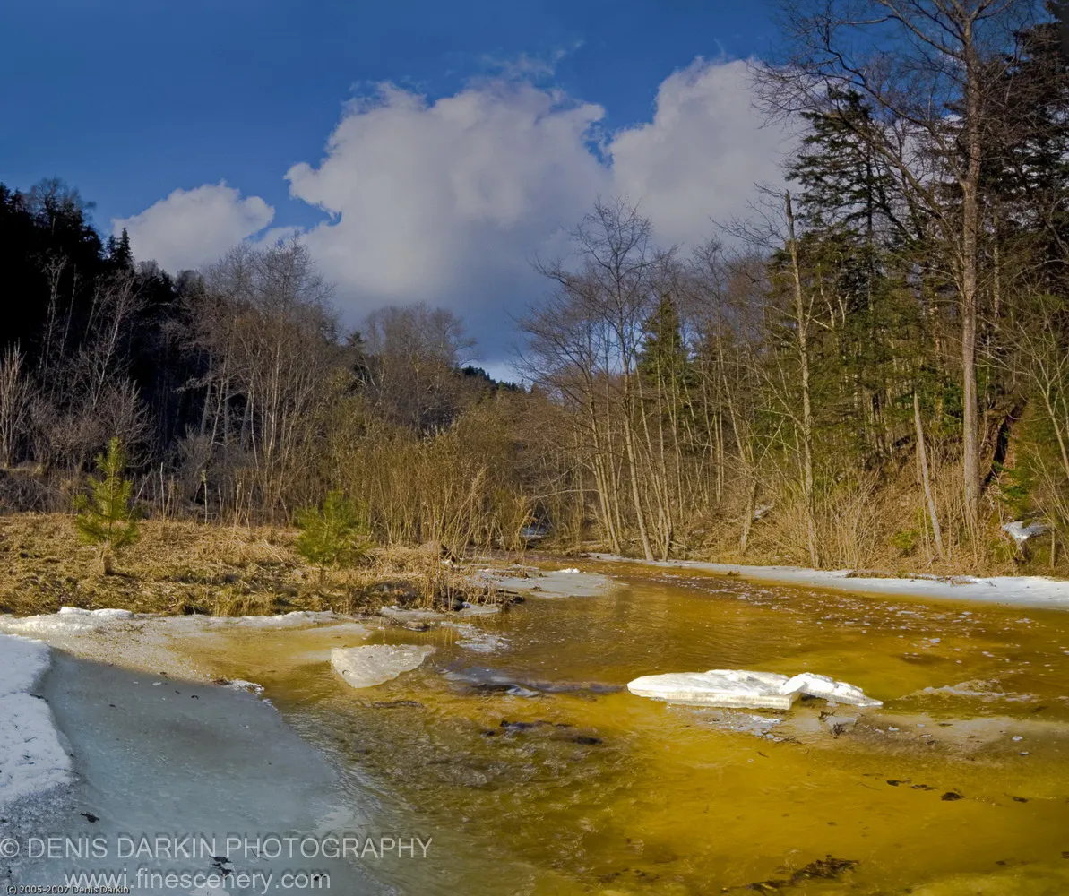 A river in early spring thaw carries yellow-brown snowmelt past intact banks of snow and ice at Vinogradovka, Russian Far East.
