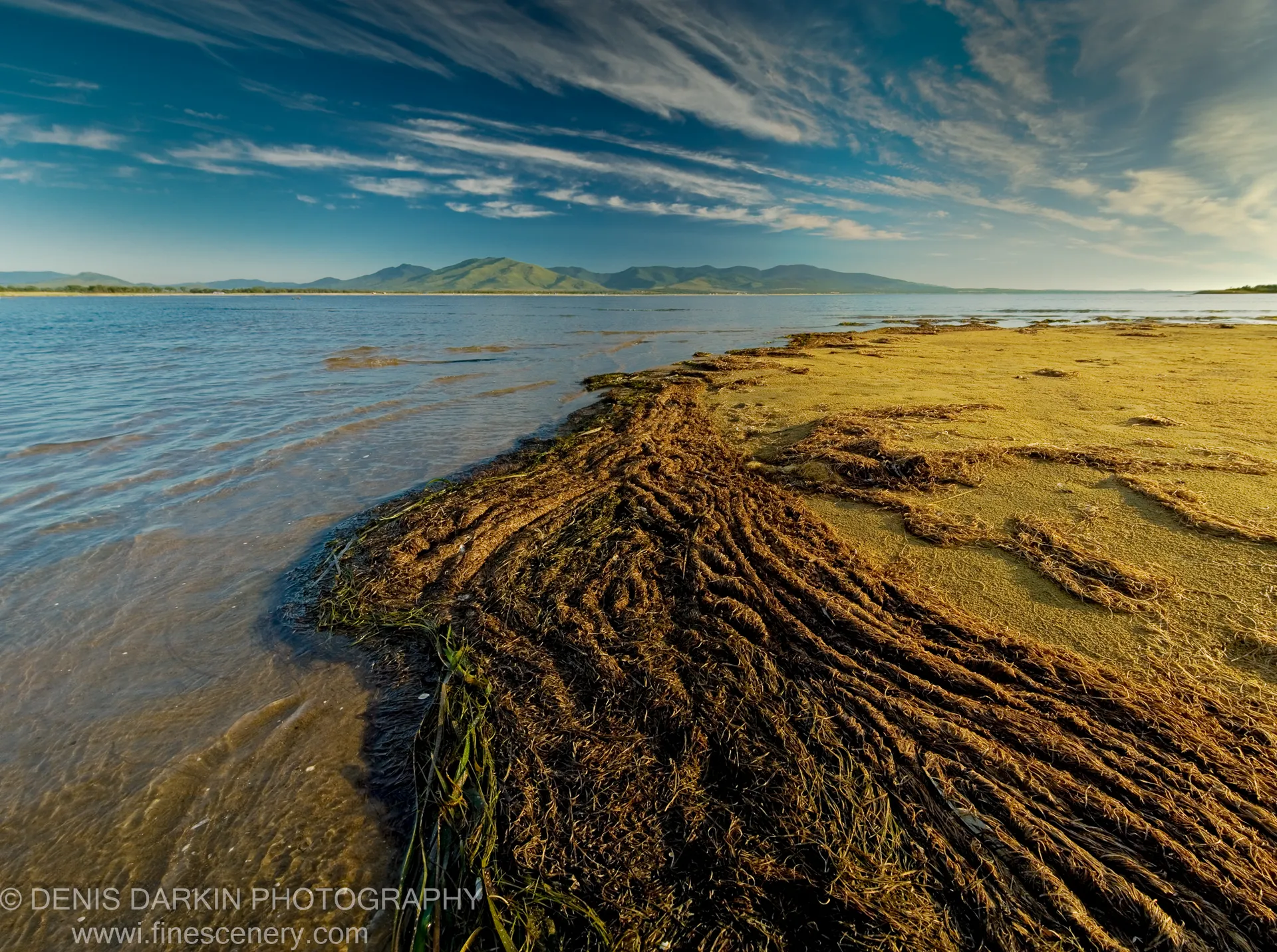 A thick mat of brown seaweed covers the rocky shore at Sidemi, with calm blue water and distant hazy mountains beyond.