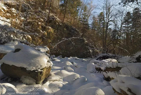 A frozen stream bed runs below a steep rocky bank, with long shadows across the snow and conifers rising on the far side.
