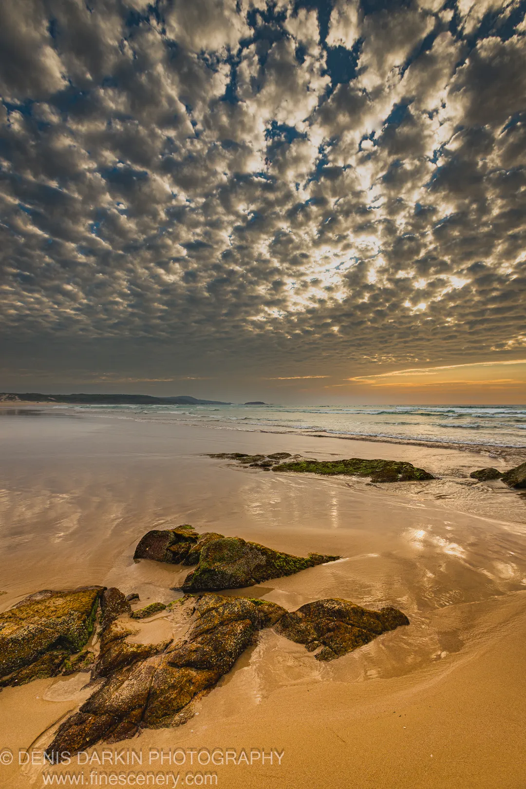 Wet sand mirrors altocumulus clouds at dawn on One Mile Beach, Port Stephens, with moss-covered rocks in the foreground.