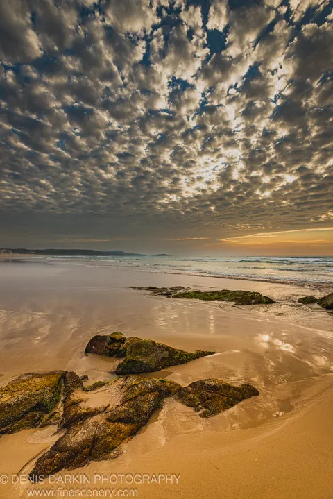 Wet sand mirrors altocumulus clouds at dawn on One Mile Beach, Port Stephens, with moss-covered rocks in the foreground.